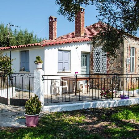 הוילה לאונידיון Stam House מראה חיצוני תמונה