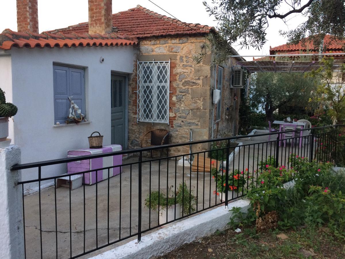 הוילה לאונידיון Stam House מראה חיצוני תמונה